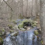 Dom Na Koncu Swiata Ostrowite Sauna I Ruska Bania Ostrowite (Chojnice)