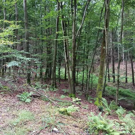 Dom Na Koncu Swiata Ostrowite Sauna I Ruska Bania Ostrowite (Chojnice)
