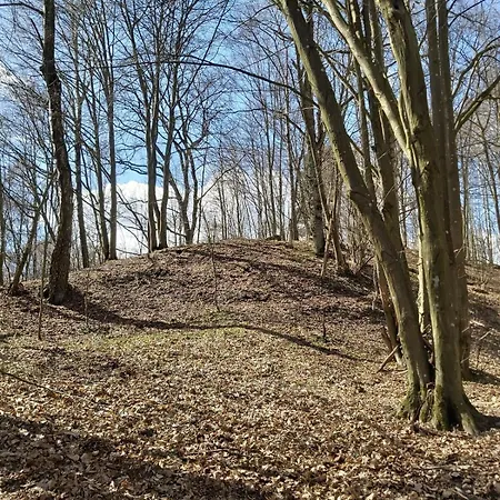 Dom Na Koncu Swiata Sauna I Ruska Bania * Ostrowite
