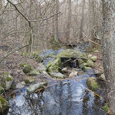 Dom Na Koncu Swiata Sauna I Ruska Bania Ostrowite